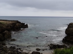 DSC00147