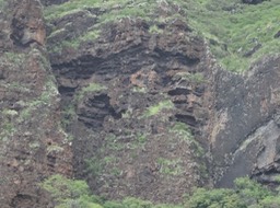 DSC00150