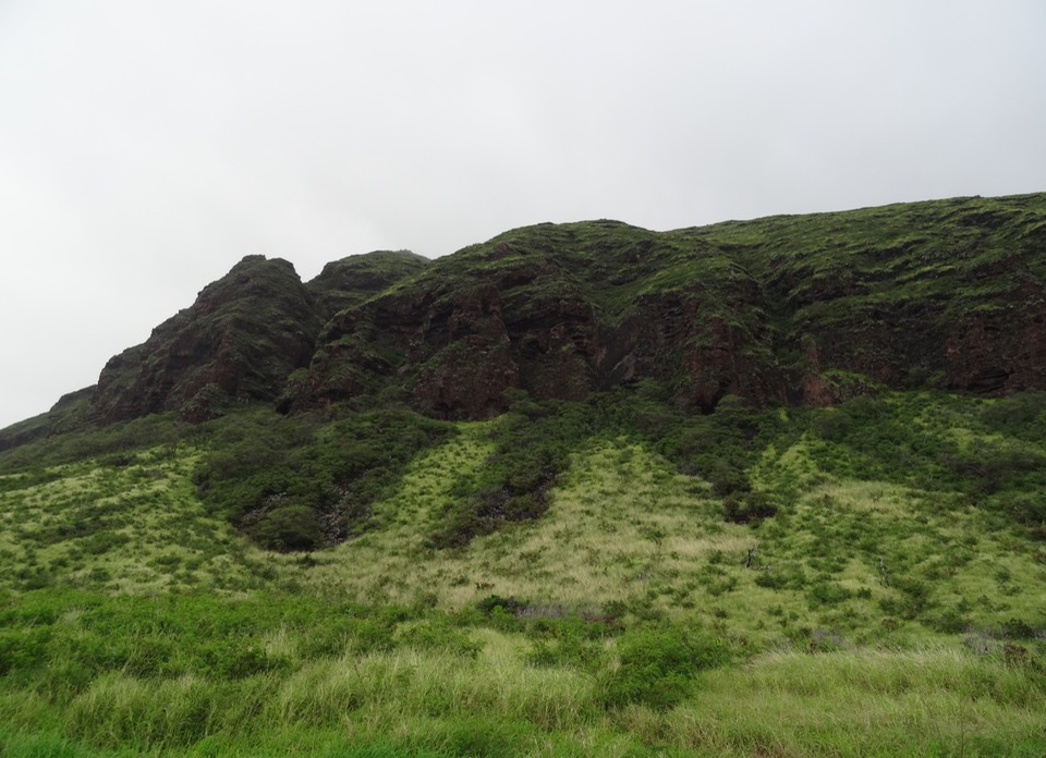DSC00160