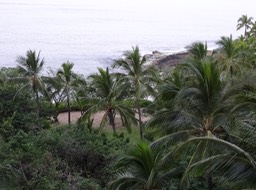 DSC00220