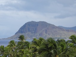 DSC00681
