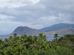 DSC00691