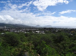 DSC00700