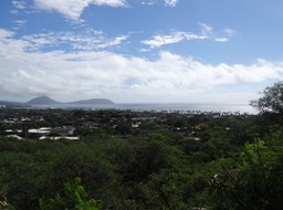 DSC00716