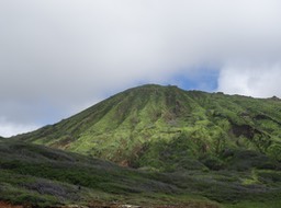DSC00760