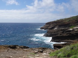 DSC00762