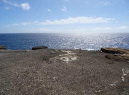 DSC00769