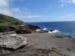 DSC00770