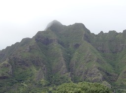 DSC00780
