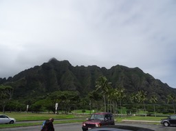 DSC00784