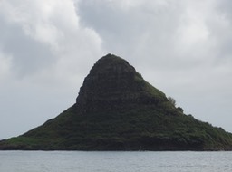 DSC00788
