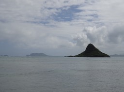 DSC00791