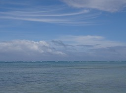 DSC00792