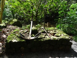 DSC00814