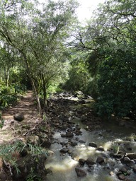 DSC00818