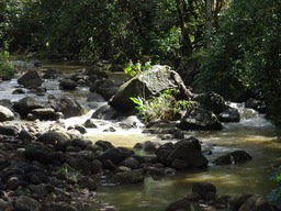 DSC00827