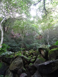 DSC00850