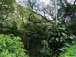 DSC00875