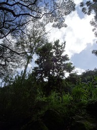 DSC00876