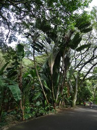 DSC00881