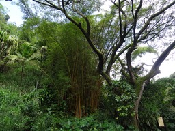 DSC00884