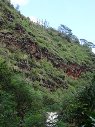 DSC00885
