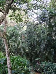 DSC00888