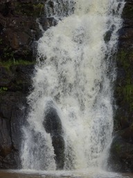 DSC00894