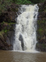 DSC00901
