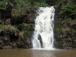 DSC00915