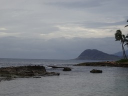 DSC00988