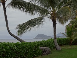 DSC01002
