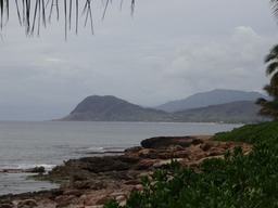 DSC01037
