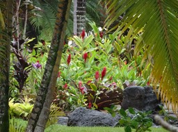 DSC01372