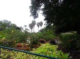 DSC01377