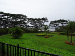 DSC01402