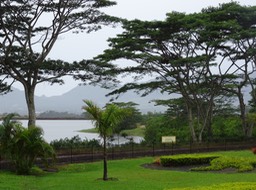 DSC01403