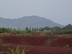 DSC01421