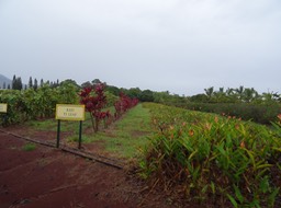 DSC01425