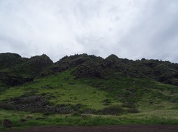 DSC01429