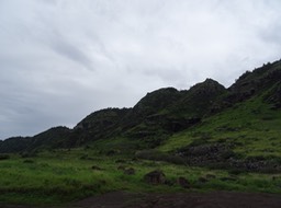 DSC01430