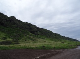 DSC01431