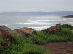 DSC01446