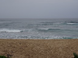 DSC01478