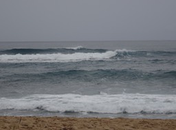 DSC01481
