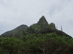 DSC01573