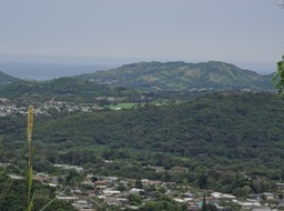 DSC01587