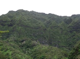 DSC01591
