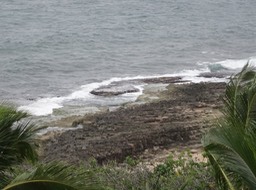 DSC01602